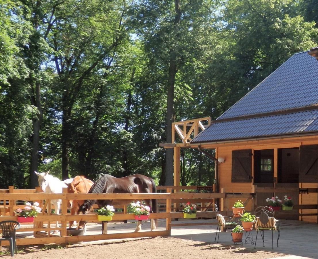 Hotel Jumpravas Pils Exterior foto